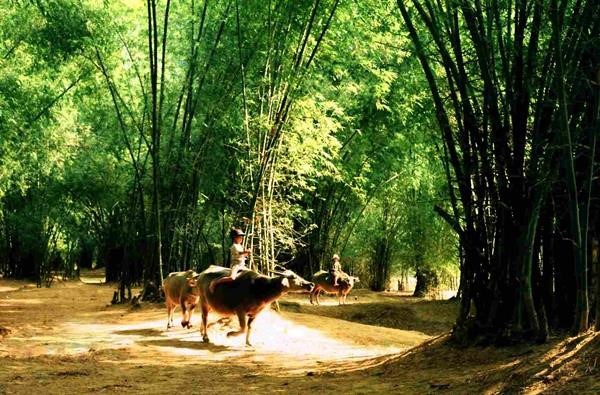 Những đặc trưng của làng Việt trong tâm thức người Việt | Tạp chí điện tử  Thế giới Di sản