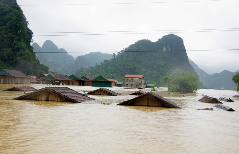 Hội Di sản Văn hóa Việt Nam ủng hộ đồng bào miền Trung