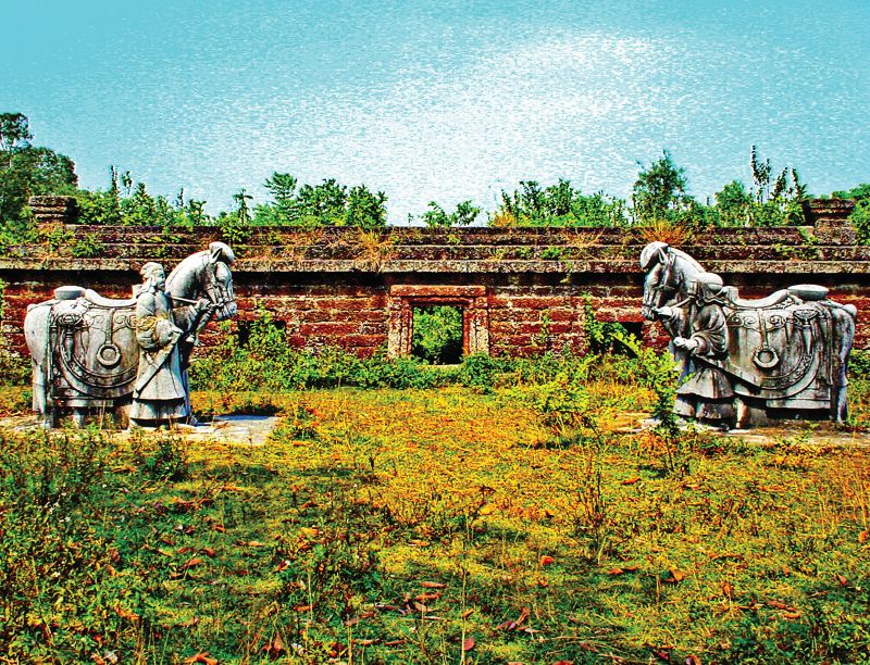 Ngựa l&agrave;m quen v&agrave; trở th&agrave;nh bản sắc Việt