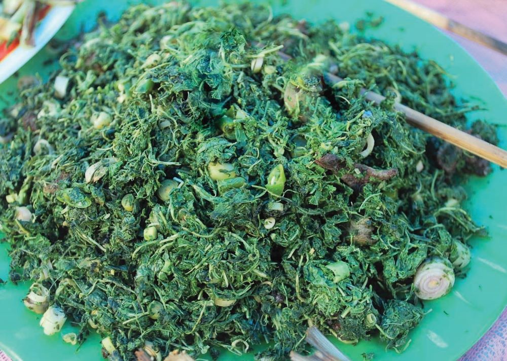 Thưởng thức s&acirc;u muồng giữa n&uacute;i rừng Trường Sơn